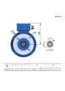 0,75kW asynchronous electric motor 1AL-80M2-4