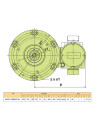 0.55 kW AC electric motor AKKE 1608KP6 Ex