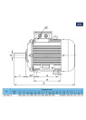 11 kW asynchronous electric motor AM 160 L-6