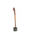 Electro graphite brush EG4 4x4x10 K4-2 for motors and generators