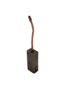 Copper graphite brush M26 6x9x20 K1-1