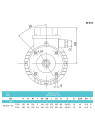 Asynchronous electric motor MA 80A-4/2