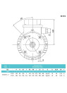 1.1 kW asynchronous electric motor MA 80B-2